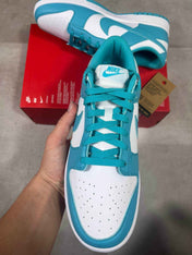 Nike Dunk Low Dusty Cactus (44)