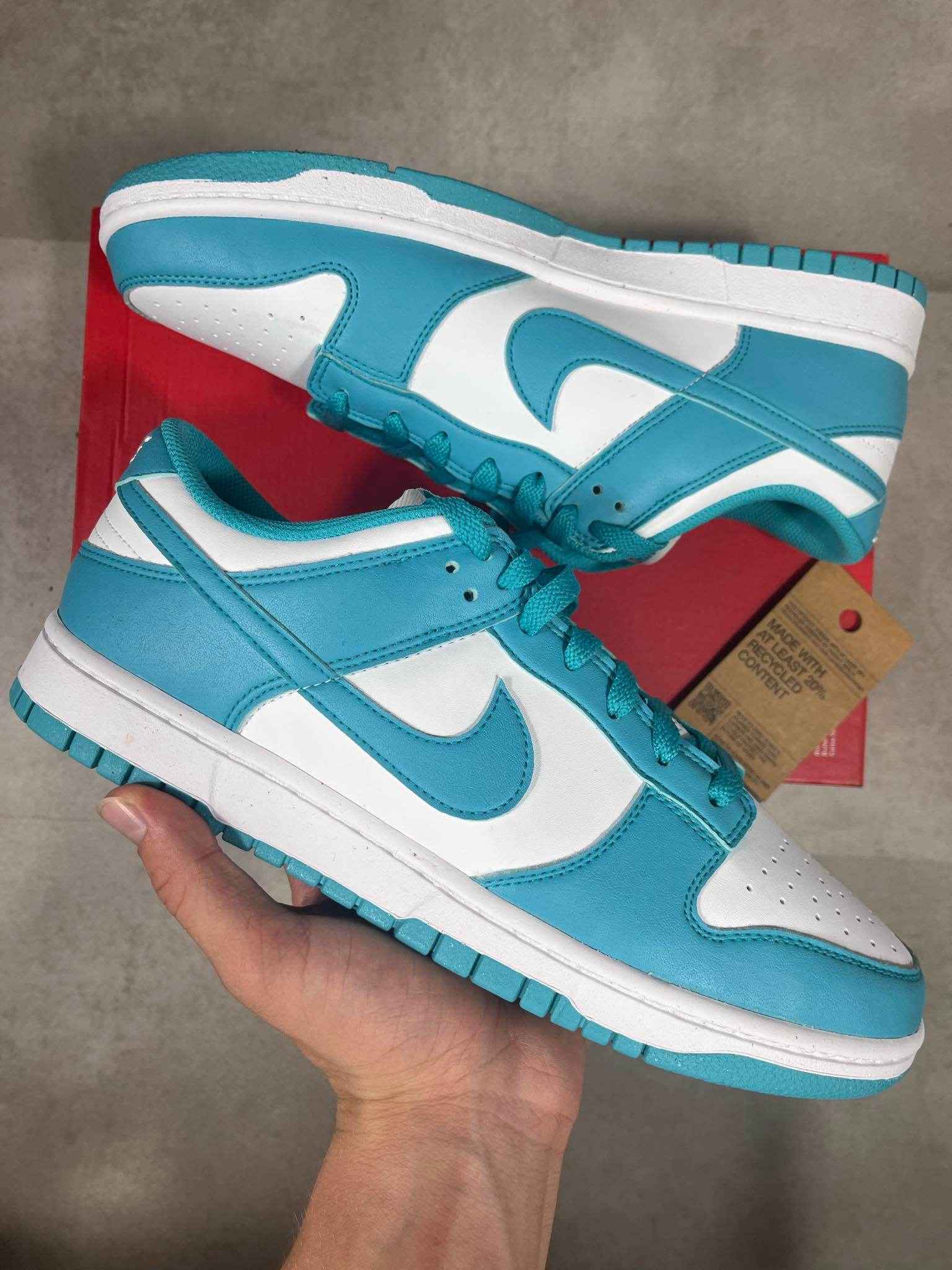 Nike Dunk Low Dusty Cactus (44)