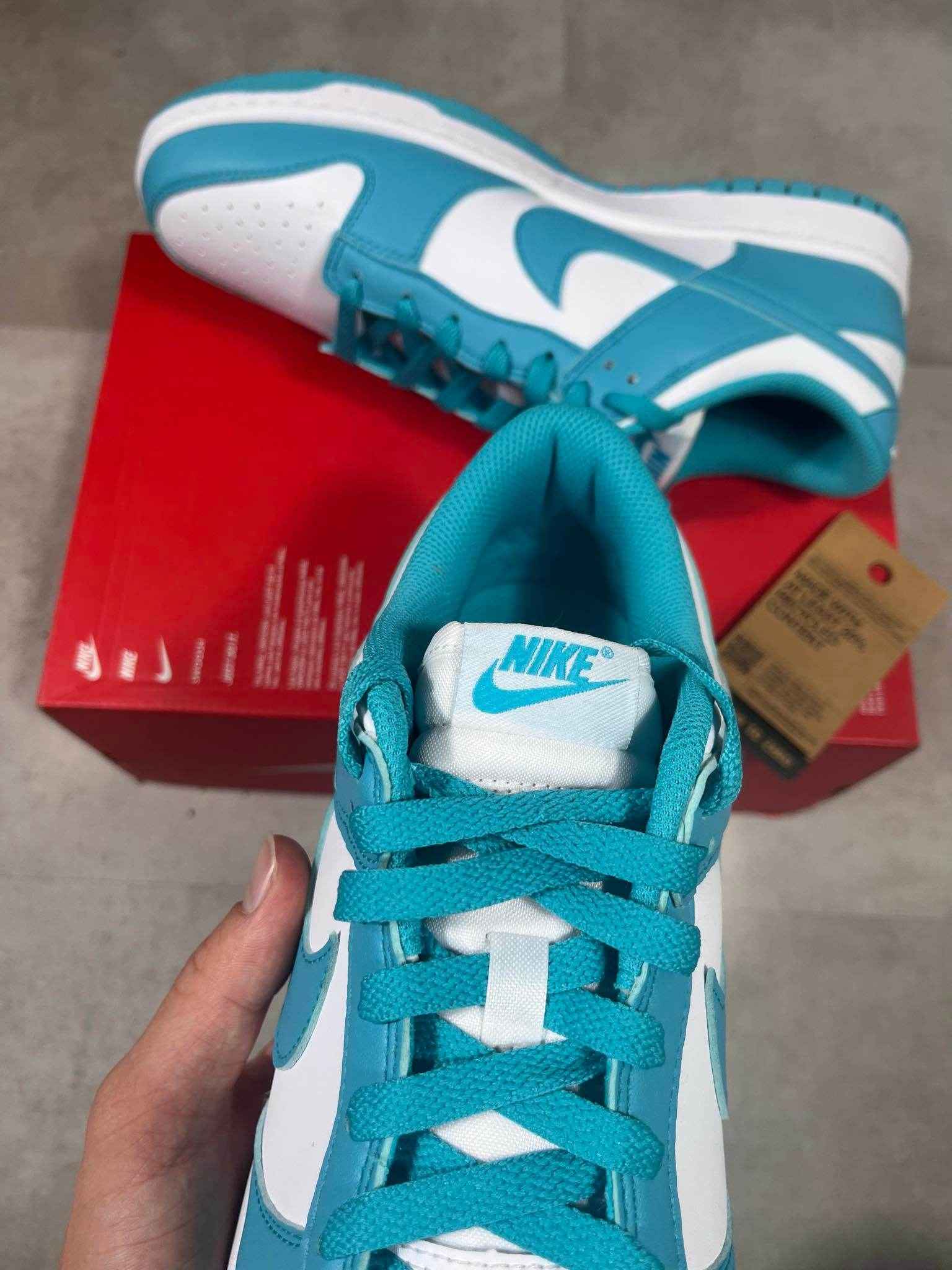 Nike Dunk Low Dusty Cactus (44)